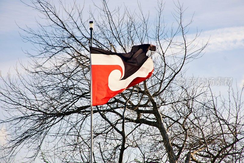 Tino Rangatiratanga旗或Māori天空之旗